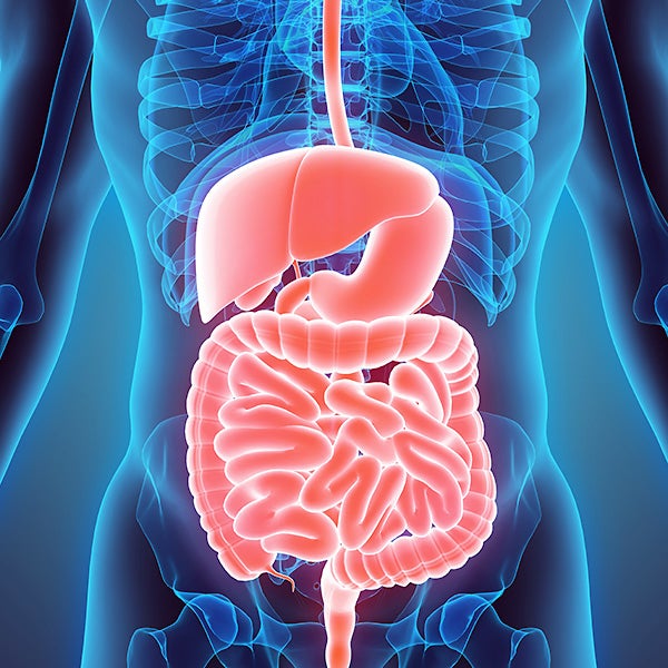 Digestive Health